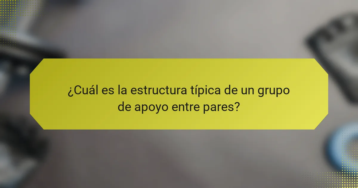 ¿Cuál es la estructura típica de un grupo de apoyo entre pares?
