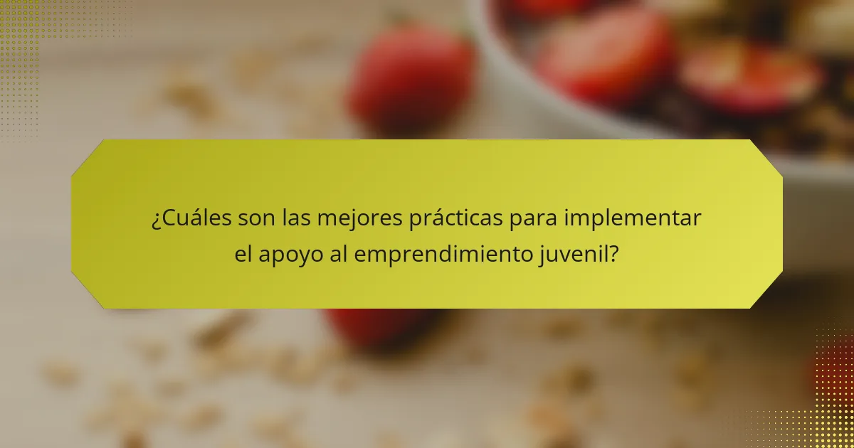 ¿Cuáles son las mejores prácticas para implementar el apoyo al emprendimiento juvenil?