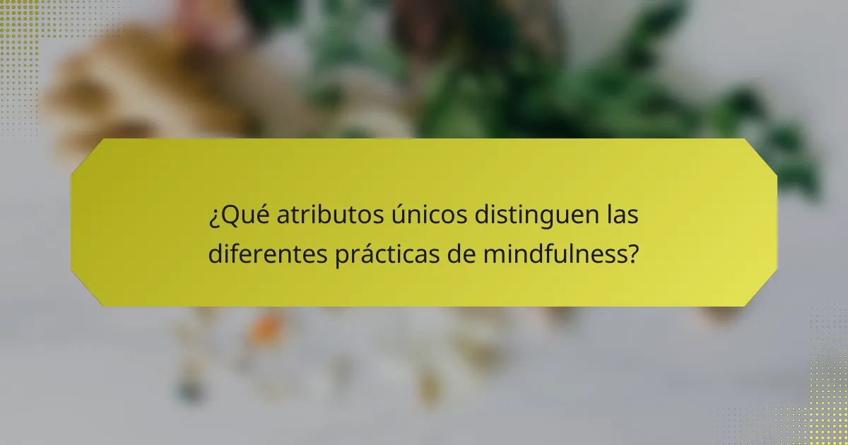 ¿Qué atributos únicos distinguen las diferentes prácticas de mindfulness?