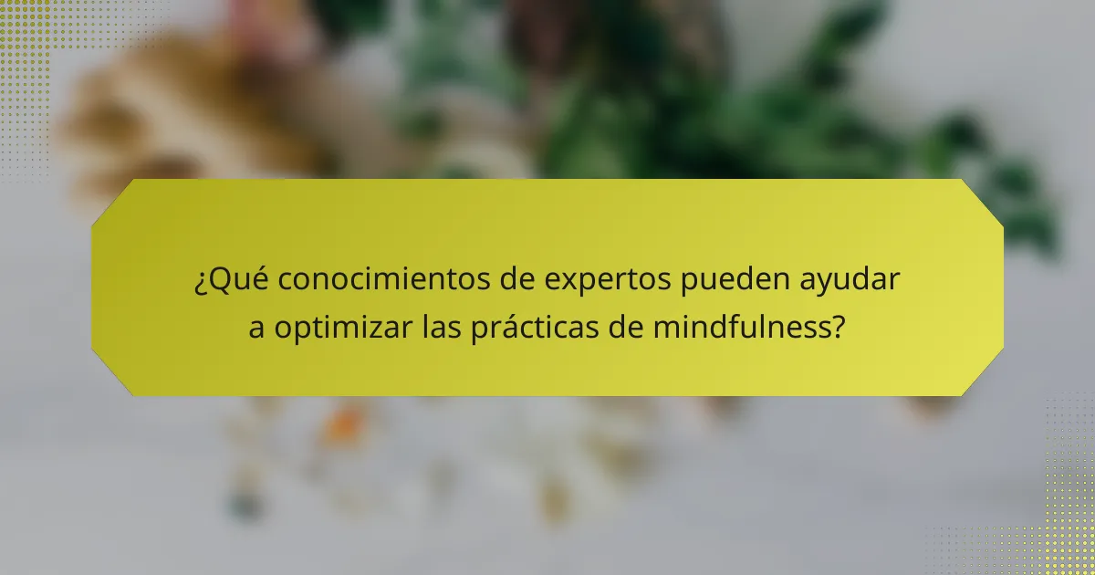 ¿Qué conocimientos de expertos pueden ayudar a optimizar las prácticas de mindfulness?