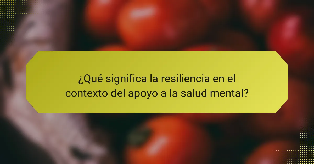 ¿Qué significa la resiliencia en el contexto del apoyo a la salud mental?